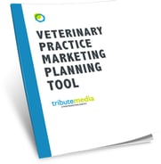 Veterinary Web Marketing tool