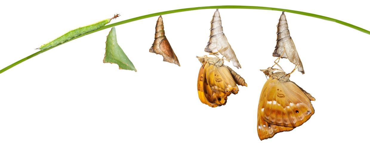 Metamorphosis of Keywords to Topics Metamorphosis of Keywords to Topics
