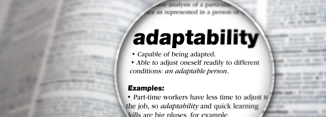 adaptability in marketing