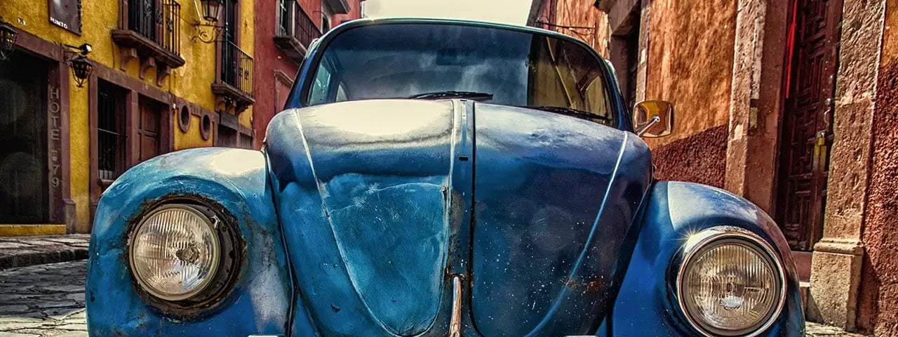 beetle beetle