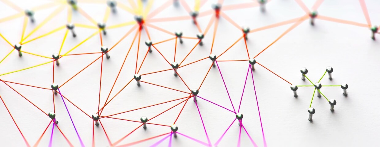 link network link network