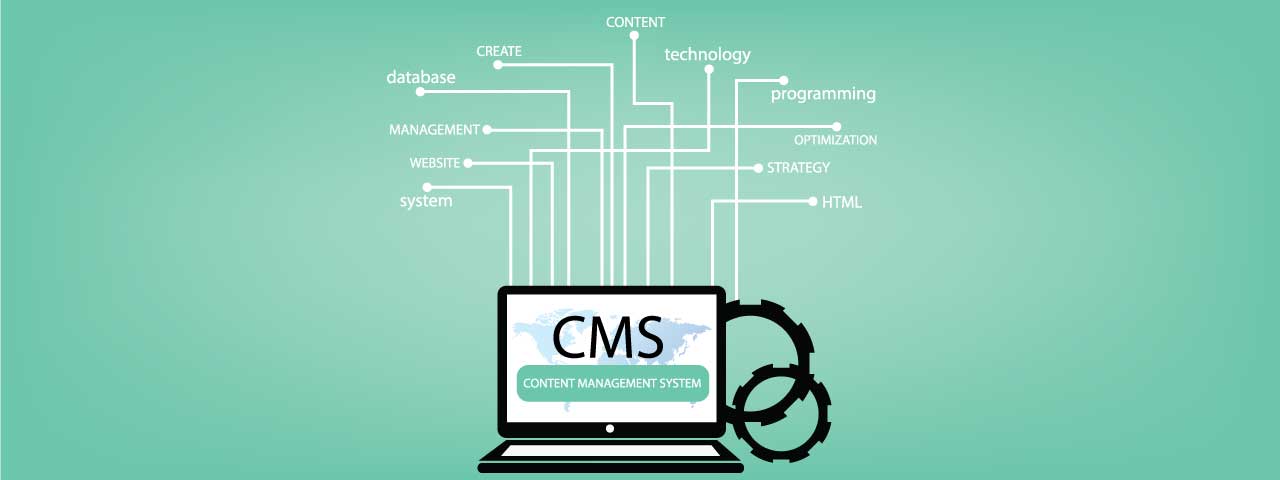 What is a CMS?