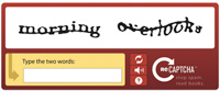 recaptcha_pic