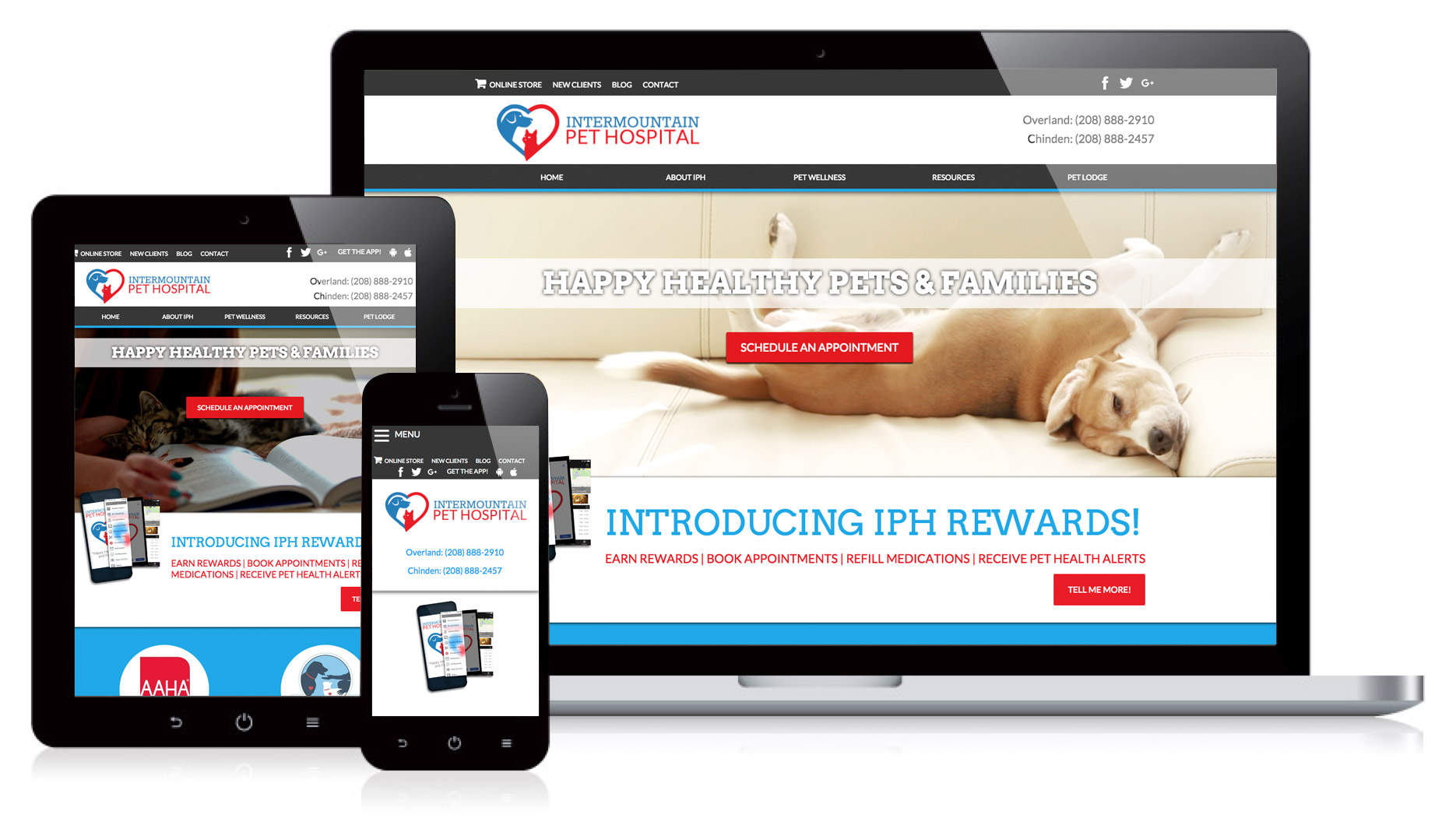 Intermountain Pet Inbound Marketing